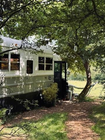 American School Bus Retreat With Hot Tub In Sussex Meadow อัคฟิลด์ ภายนอก รูปภาพ